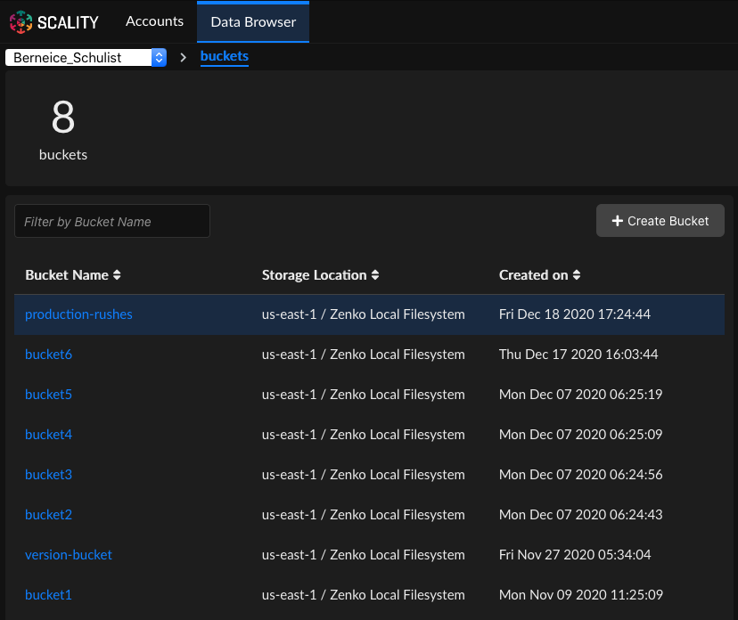 ../../_images/xdm_ui_bucket_created.png